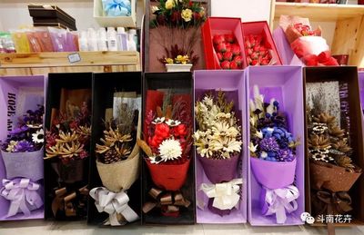 四小时山海游 从雾都花市到春城花海的双城花旅